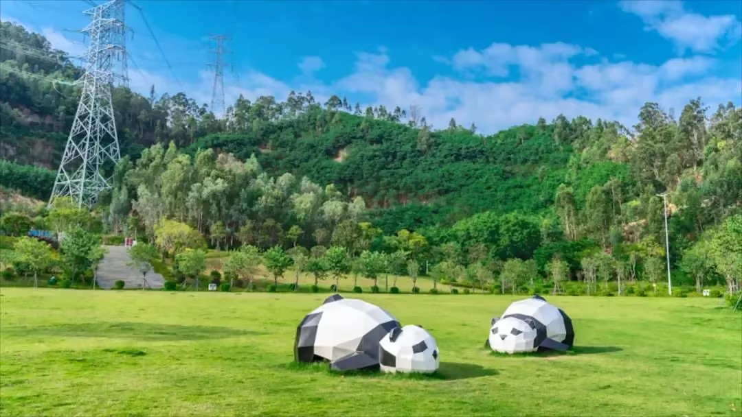 春日之約，享受自然之美